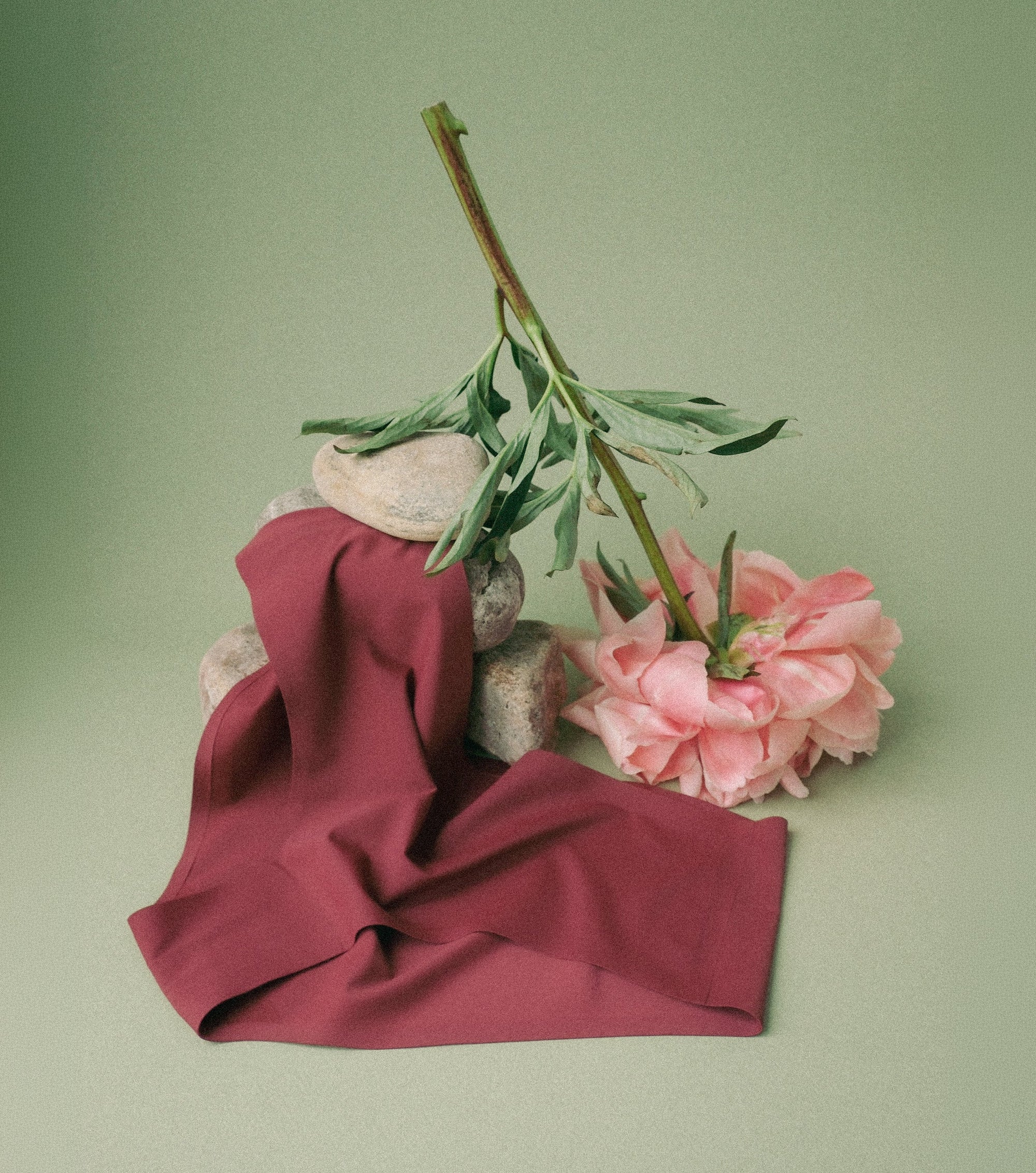 Seamless undies in color burgundy on green background