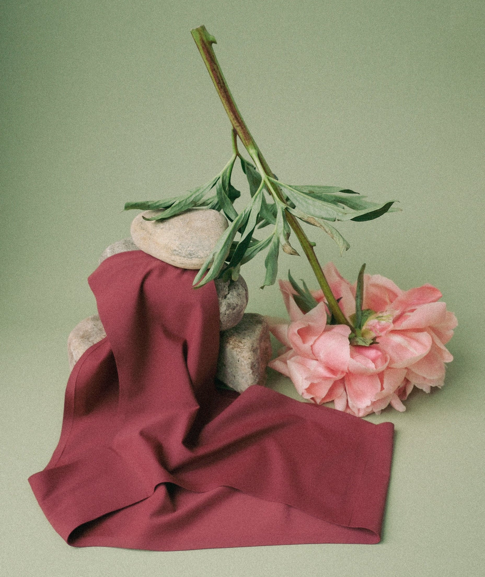 Burgundy seamless undies, pink flowers, and green leaves on a light green background